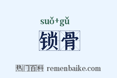 锁骨是什么意思的图片
